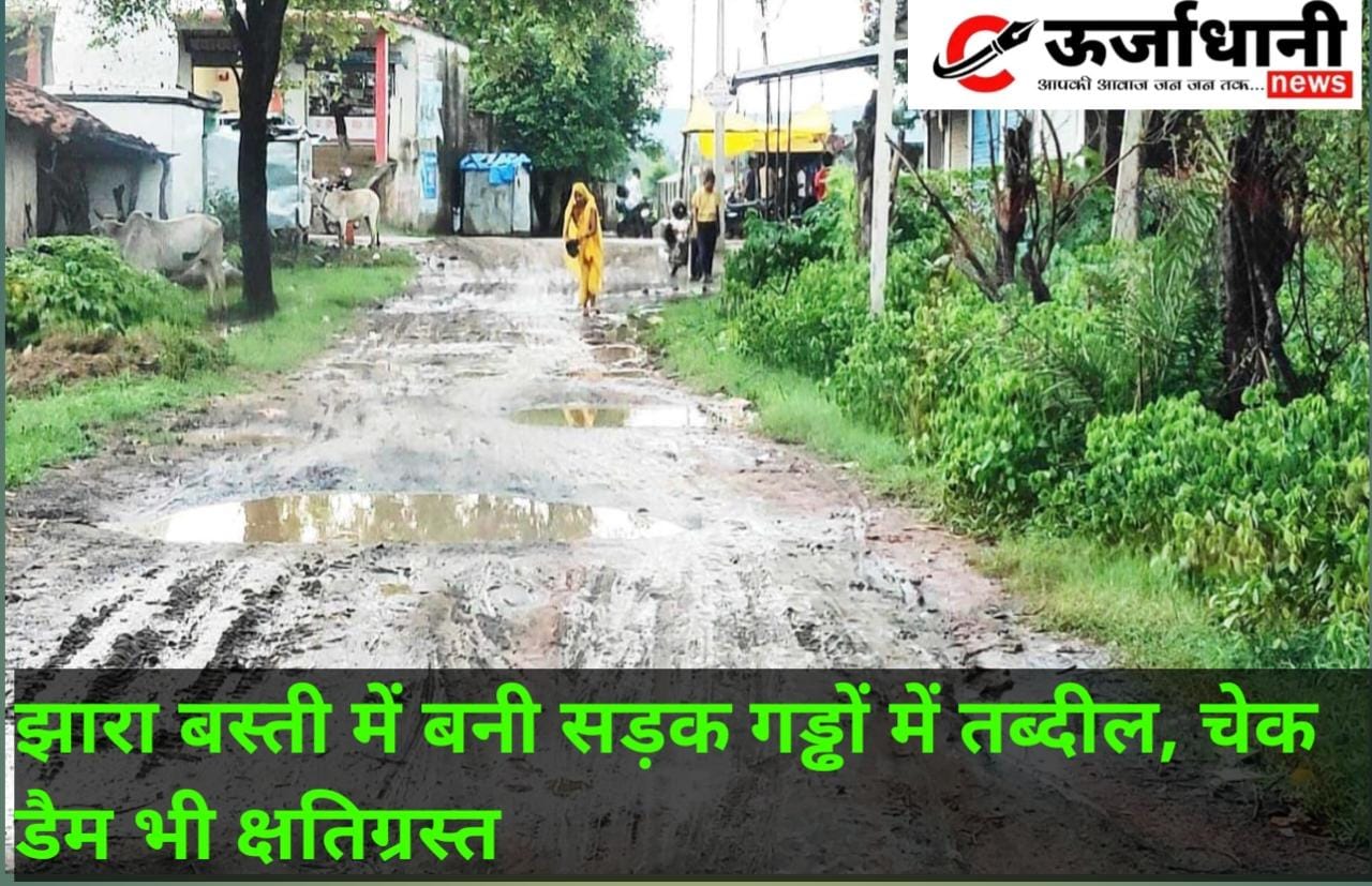 झारा बस्ती में बनी सड़क गड्ढों में तब्दील, चेक डैम भी क्षतिग्रस्त