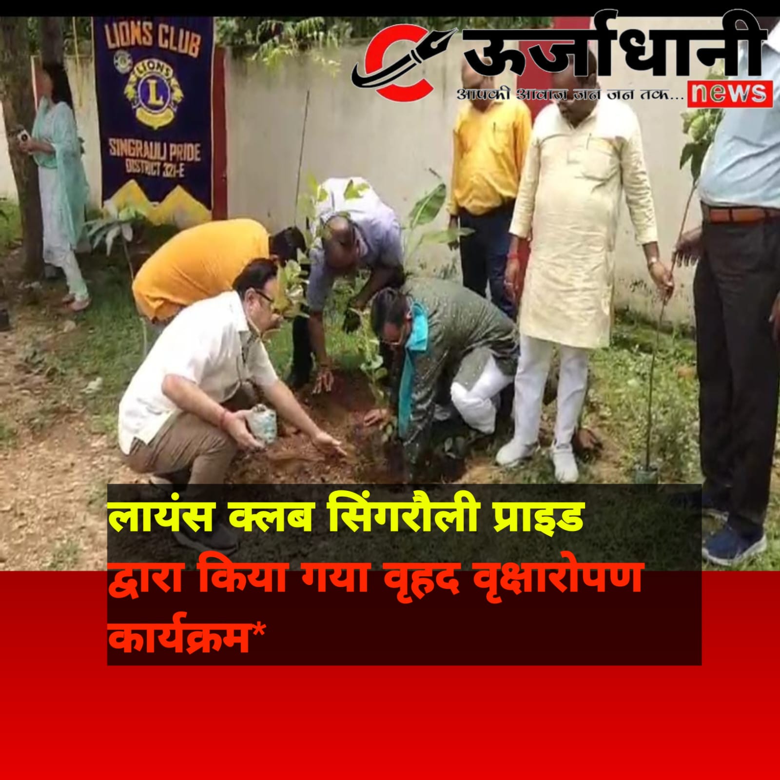 लायंस क्लब सिंगरौली प्राइड द्वारा किया गया वृहद वृक्षारोपण कार्यक्रम