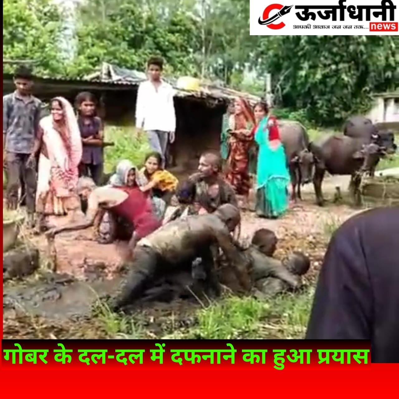 गोबर के दल-दल में दफनाने का हुआ प्रयास