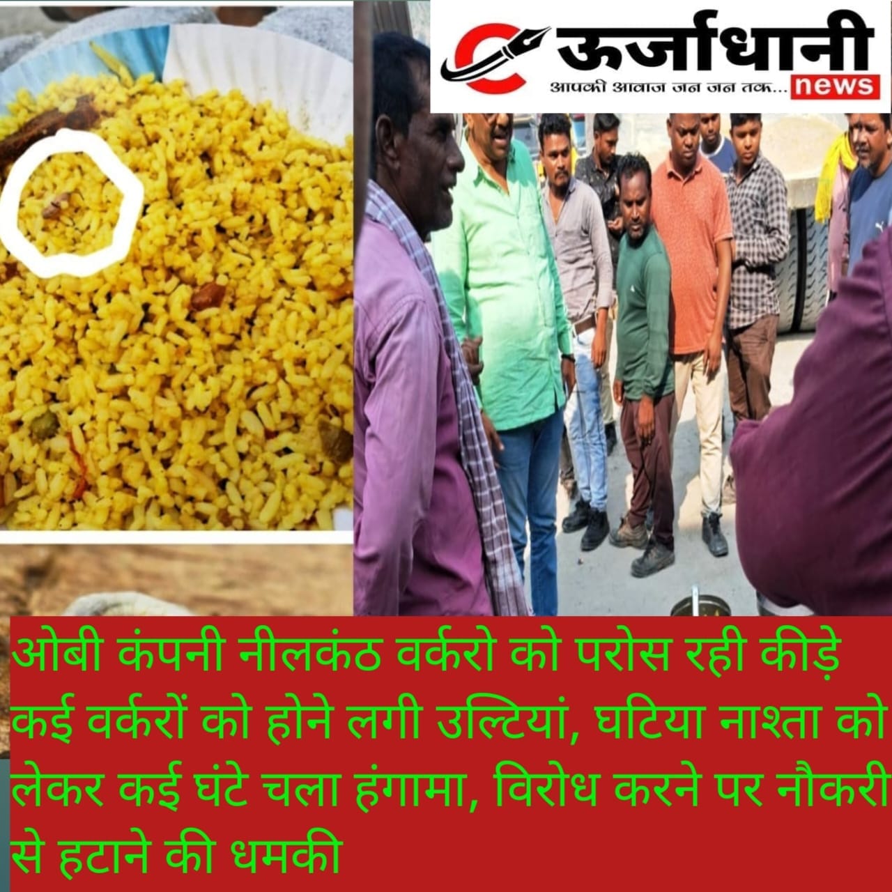 ओबी कंपनी नीलकंठ वर्करो को परोस रही कीड़े मकोड़े