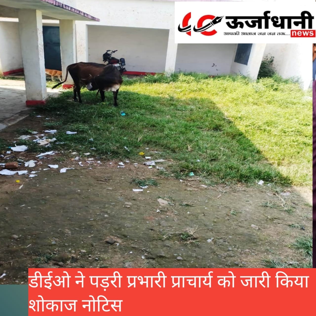 डीईओ ने शासकीय उच्चतर माध्यमिक विद्यालय पड़री के प्रभारी प्राचार्य को जारी किया शोकाज नोटिस