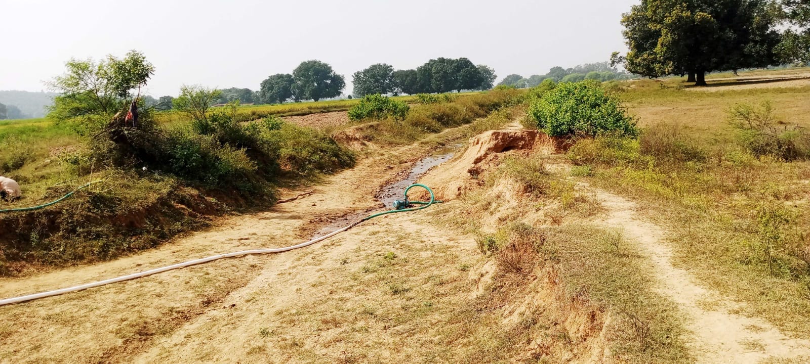 पड़री बांध से खेतों में नही पहुंच रहा पानी जगह-जगह नहरें टूटी, एक दशक से नही हुआ मरम्मत एवं साफ-सफाई कार्य, दूरबिन से तलासना पड़ेगा माईनर नहरे