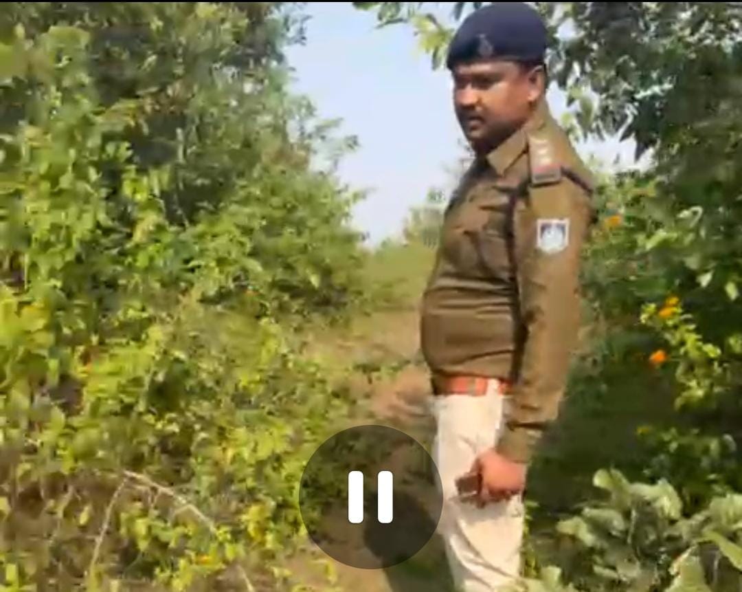 बांधवगढ़ में हाथियों की मौत के बाद अब हाथी ने वृद्धि को मौत के घाट उतारा