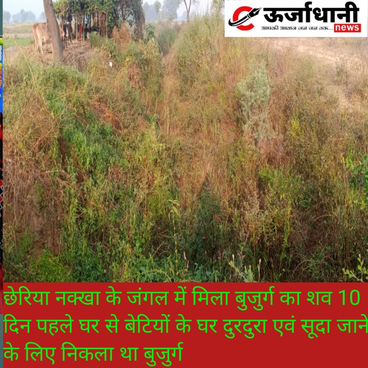 रिया नक्खा के जंगल में मिला बुजुर्ग का शव 10 दिन पहले घर से बेटियों के घर दुरदुरा एवं सूदा जाने के लिए निकला था बुजुर्ग