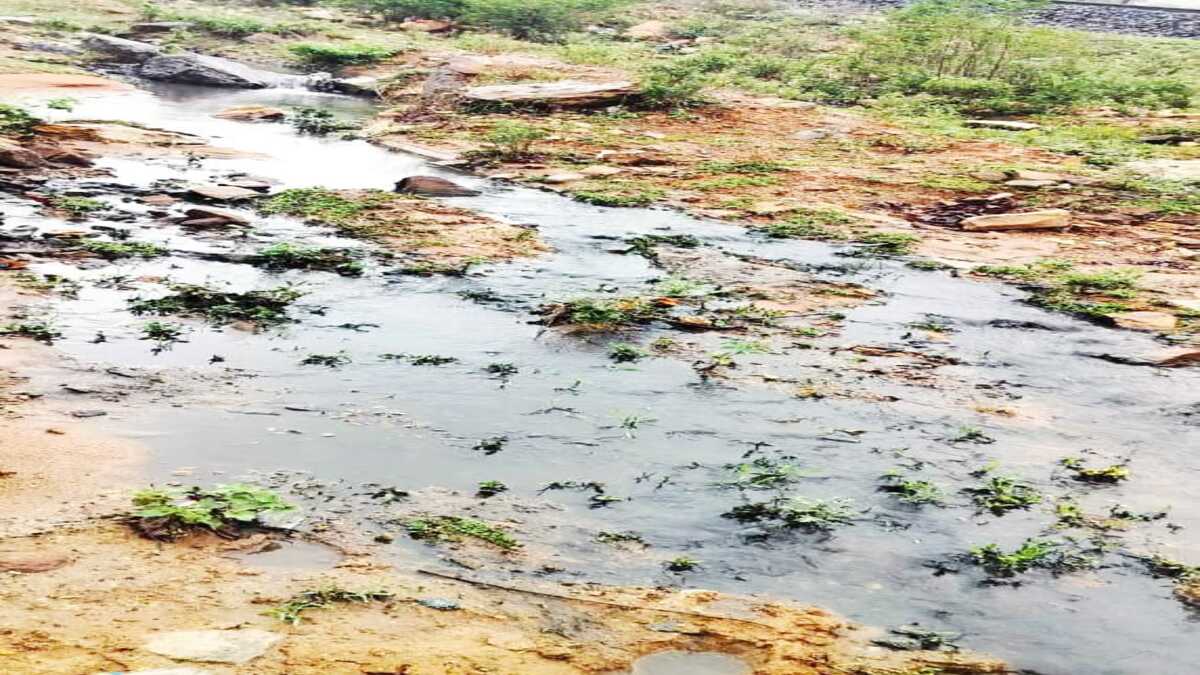 महावीर कोल वासरी के दूषित पानी से जमीनों पर दुष्प्रभाव